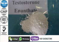 Krachtige Test E/Steroid Poeder van Testosteronenanthate voor Bodybuilding-Supplementen