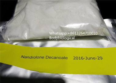 Het gezonde Poeder van de Steroïden Injecteerbare Nandrolone Decanoate van Deca Anabole